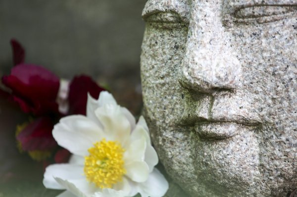 Astroia : découvrez le concept d'une boutique bien-être, beauté et déco zen